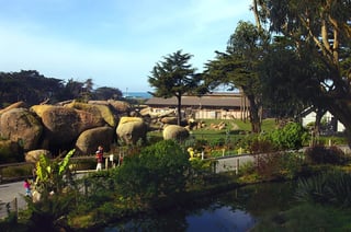 Picture of San Francisco Zoo