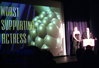 Picture of Golden Raspberry Award for Worst Supporting Actress