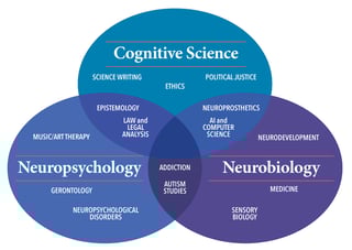 Picture of Neuroscience