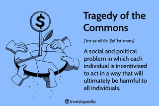 Picture of Commons