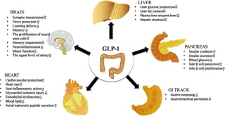 Picture of Glucagon-like peptide-1 receptor agonist