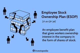 Picture of Employee stock ownership