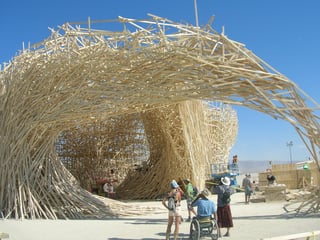Picture of Uchronia