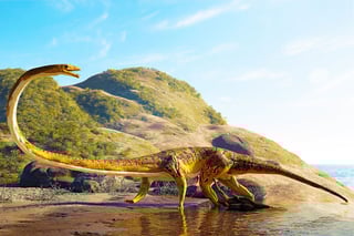Picture of Tanystropheus