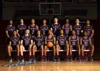 Picture of Delaware State Hornets men's basketball