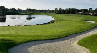 Picture of Arnold Palmer Invitational
