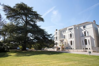 Picture of Lambrook