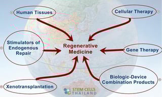Picture of Regenerative medicine