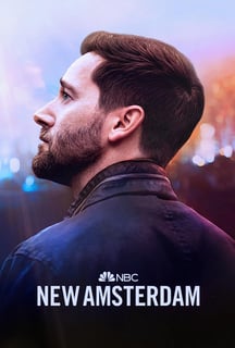 Picture of New Amsterdam
