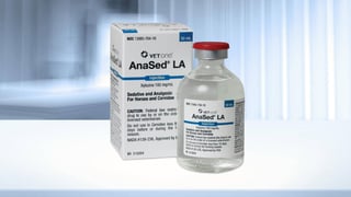Picture of Xylazine