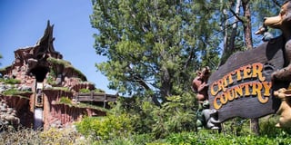Picture of Critter Country