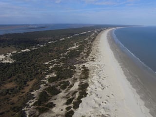 Picture of Cumberland Island
