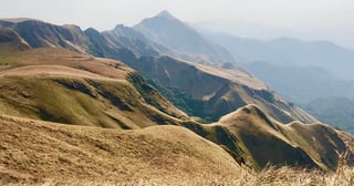 Picture of Nimba