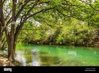 Picture of Barton Creek