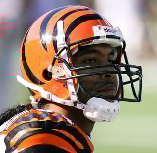 Picture of T. J. Houshmandzadeh