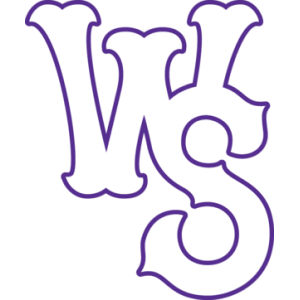 Picture of Winston-Salem Dash