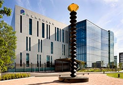 Picture of Riken