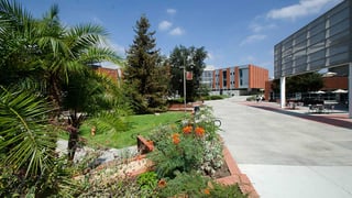 Picture of Palomar College