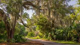 Picture of Fairchild Tropical Botanic Garden