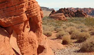 Picture of Valley of Fire State Park