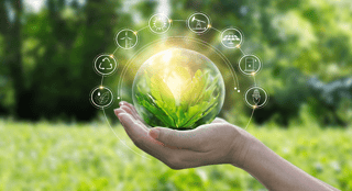 Picture of Green economy