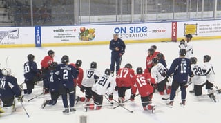 Picture of Lethbridge Hurricanes