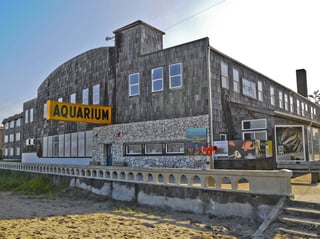 Picture of Seaside Aquarium