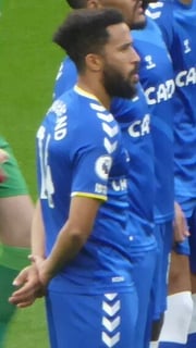 Picture of Andros Townsend