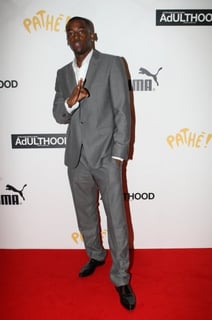 Picture of Bashy