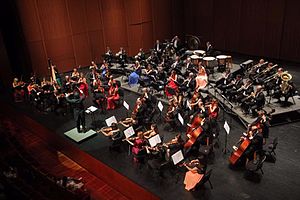 Picture of Orchestra