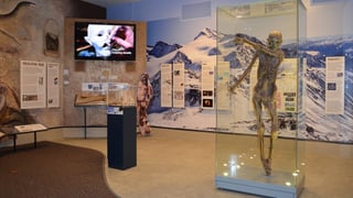 Picture of Ötzi