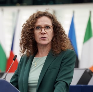 Picture of Sophie in 't Veld