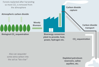 Picture of Bioenergy with carbon capture and storage