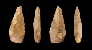 Picture of Paleolithic
