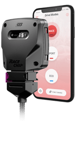 Picture of Chip race