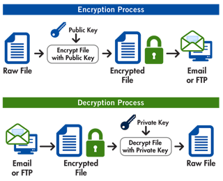 Picture of Pretty Good Privacy