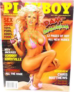 Picture of Playboy