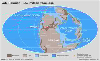Picture of Permian