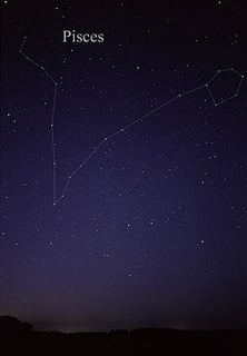 Picture of Pisces