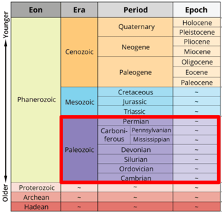Picture of Paleozoic