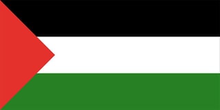 Picture of Flag of Palestine