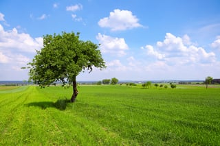 Picture of Plain