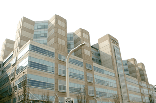 Picture of John H. Stroger, Jr. Hospital of Cook County