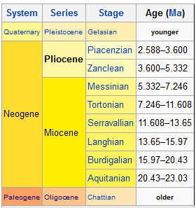 Picture of Pliocene