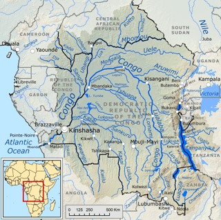 Picture of Congo Basin