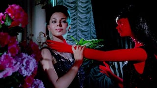 Picture of Giallo