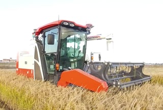 Picture of Kubota