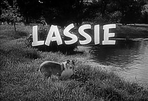 Picture of Lassie