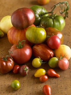 Picture of Heirloom plant