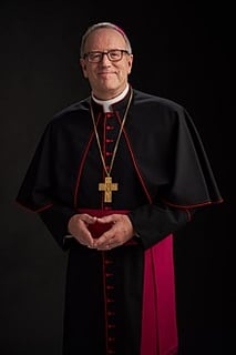Picture of Robert Barron